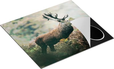 Chefcare Inductie Beschermer Hert in het Bos vanaf de Zijkant - 60x50 cm - Afdekplaat Inductie - Kookplaat Beschermer - Inductie Mat