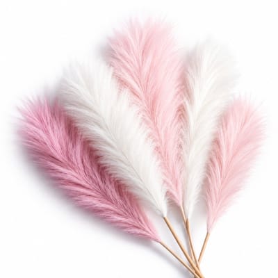 BOTC Mini Pampasgras – 6 Stuks Gedroogd Pampasgras 43 cm – Natuurlijk Droogbloemen voor Vaas, Boho Woondecoratie, Tafeldecoratie & Bruiloft – Roze & Wit