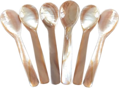6 stuks creatieve lepels - lepels van schelpmateriaal - lepels met handvatten - lepels om desserts mee te roeren - lepels van natuurlijke schelp (9 cm)