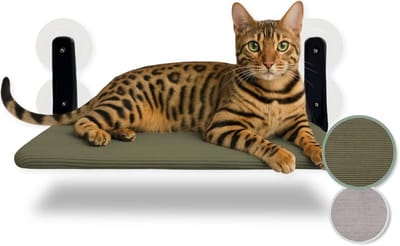 Famanu – Kattenhangmat voor raam en vensterbank, extra breed ligkussen met zuignappen, groen