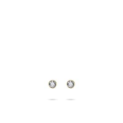 Jewels Inc. - Oorbellen - Oorstekers  - Gezet met Zirkonia Steen in een Gladomzetting  - 3mmØ - 14 Karaat Geelgoud