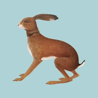 Vashti Bunyan - Lookaftering - Expanded Edition (2 CD)
