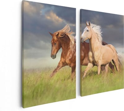 Artaza Canvas Schilderij Tweeluik Bruin En Wit Paard In De Wei - 80x60 - Foto Op Canvas - Canvas Print