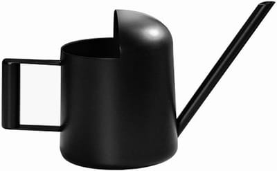 Gieter Kamerplanten - Roestvrij Staal - Planten Water Geven - Lange Nauwe Tuit - 300 ml Inhoud - Zwart