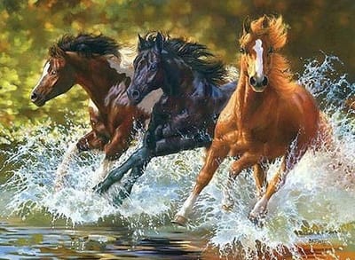 Paint By Numbers Paarden - Schilderen op Nummer - 50x40cm - Volwassenen - Stipco