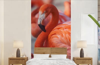 Behang - Fotobehang Flamingo - Vogel - Dieren - Roze - Breedte 120 cm x hoogte 240 cm