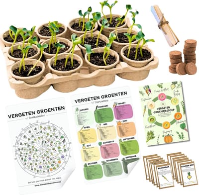 Moestuin ADVENTS KALENDER JAARBOX - zaaikalender - seizoenskalender - moestuin planner - adventskalender - vergeten groente zaden - kerst cadeau - nieuwjaar - kalender