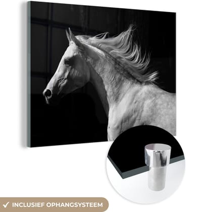 MuchoWow® Glasschilderij 160x120 cm - Schilderij acrylglas - Paarden - Dieren - Portret - Foto op glas - Schilderijen