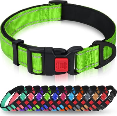 Reflecterende Nylon Hondenhalsband met Veiligheidsgesp - Verstelbaar met Zachte Neopreen Voering voor Kleine Honden