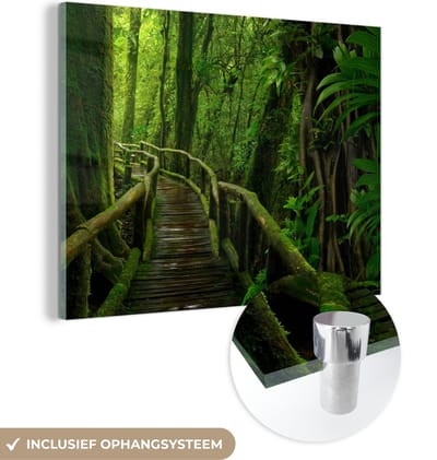 Glasschilderij - Foto op glas - Bos - Bomen - Jungle - Pad - Groen - Wanddecoratie - Acrylglas - 160x120 cm - Muurdecoratie - Schilderij glas