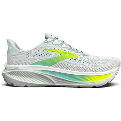 Hardloopschoenen voor dames Brooks Ghost 17