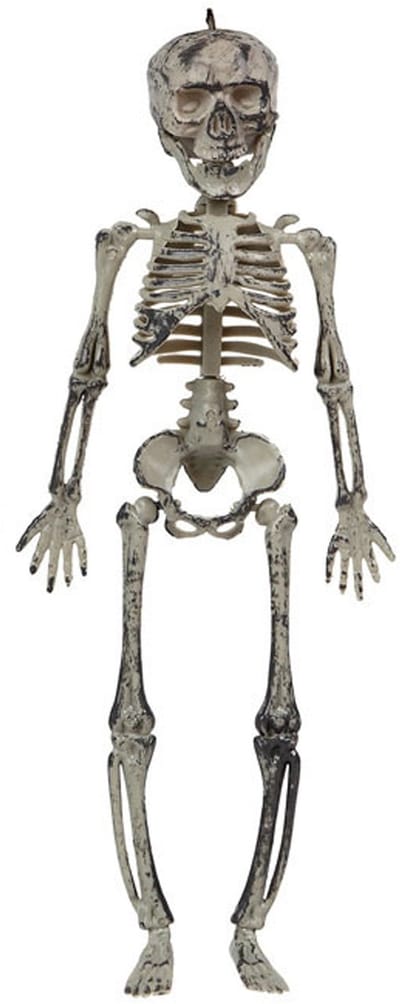 Halloween/horror thema hang decoraties - 1x stuks - skeletten - in vergane staat - 30 cm