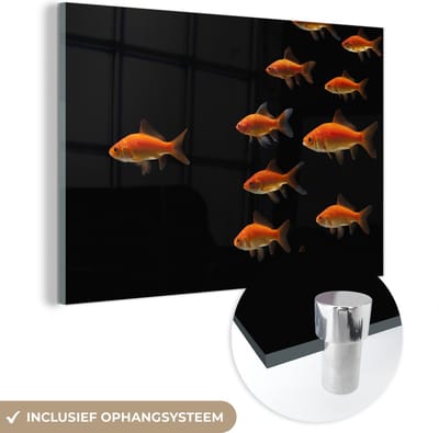 MuchoWow® Glasschilderij 120x80 cm - Schilderij acrylglas - Goudvis - Dieren - Zwart - Foto op glas - Schilderijen