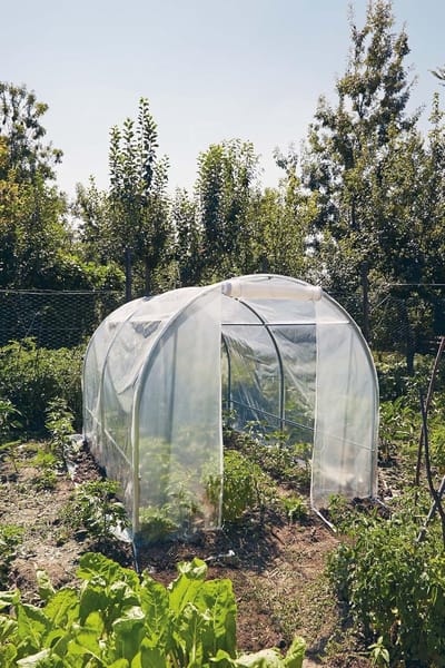 Medium Kweekkas - Tuinkas - Planten Beschermen - Corrosiebestendig Staal - 300x200x175cm - Groen Transparant