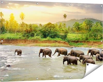 Gards Tuinposter Kudde Olifanten in het Water - 120x80 cm - Tuindoek - Tuindecoratie - Wanddecoratie buiten - Tuinschilderij