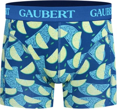 6 stuks GAUBERT® Bamboe Heren Boxershort | Premium comfort, ademend en duurzaam | thema: Citroen