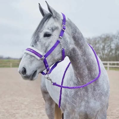 Paardenkoord met karabijnhaak Horze Howard