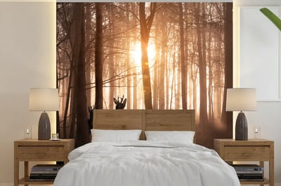 Behang - Fotobehang Bos - Hert - Zon - Bomen - Winter - Natuur - Dieren - Breedte 350 cm x hoogte 350 cm