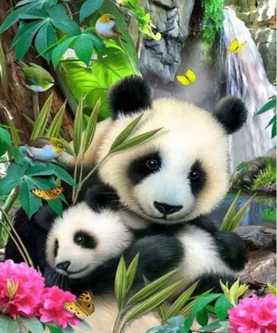 2.0 Products - Dieren - Schilderen op nummer volwassenen - Paint by number - 40 x 50 CM - Panda - Beer - Pandabeer