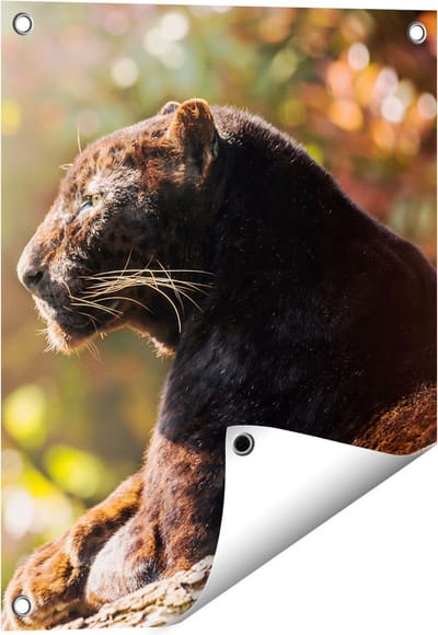 Gards Tuinposter Zwarte Panter vanaf de Zijkant - 40x50 cm - Tuindoek - Tuindecoratie - Wanddecoratie buiten - Tuinschilderij