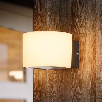 Philips Otis Wandlamp - UltraEfficient LED - Buitenlamp - 4.3W - Warmwit licht; 2700K - Roestvast staal - Opaal lichtelement