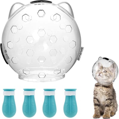 Muselière pour chat anti-morsure, respirante, protection spatiale, masque, muselière, casque, toilettage, transparente, fournitures pour animaux de compagnie