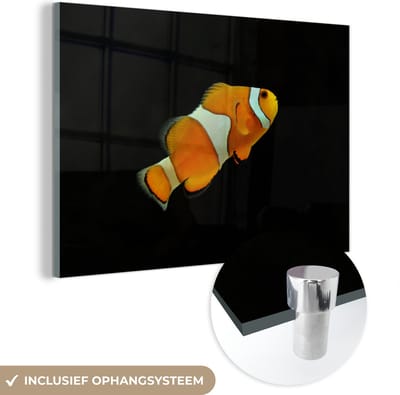 MuchoWow® Glasschilderij 150x100 cm - Schilderij acrylglas - Vis - Lijn - Zwart - Foto op glas - Schilderijen