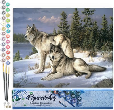 Figured'Art Schilderen op Nummer Volwassenen canvas Wolfspaar - Handwerk acrylverf Kit DIY Compleet - 40x50cm zonder frame