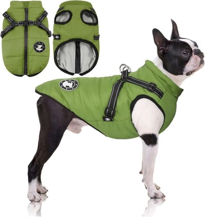 Waterdichte Hondenjas met Harnas voor Kleine Honden - Warm Wintervest