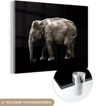 MuchoWow® Glasschilderij 120x90 cm - Schilderij acrylglas - Olifant - Wilde dieren - Zwart - Foto op glas - Schilderijen