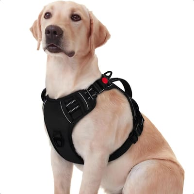 JAXY Hondenharnas - Hondentuig - Hondentuigje Kleine Hond - Y Tuig Hond - Harnas Hond - Anti Trek Tuig Hond - Reflecterend - Maat XL - Zwart