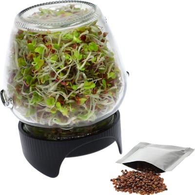 kiempot -Zaden Spruiten - Kiemglas - Kiempot set - Superfood - Groente kiemen