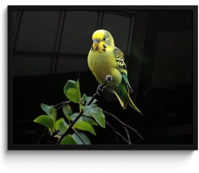 Poster in lijst - Fotolijst 70x50 cm - Posters - Parkiet - Tak - Bladeren - Geel - Posterlijst zwart - Decoratie - Wanddecoratie woonkamer - Muurdecoratie slaapkamer