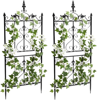 CLP Set van 2 Metalen Klimrekken Myrte - Rozen & Clematis Klimsteun - Landelijke Stijl - Geschikt voor Tuin, Balkon, Terras - antraciet