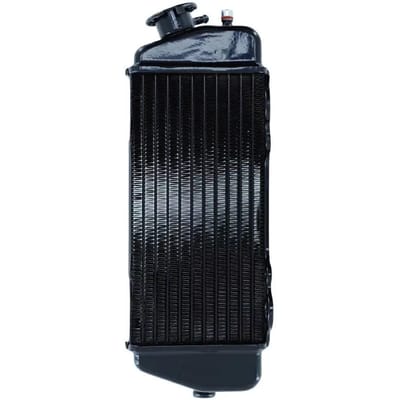 Radiateur de refroidissement noire pour moto Beta 50 RR Après 2005 Neuf