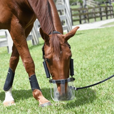 Thinline Graasmasker - Graasgat 3,5 cm - Small - Mini/Pony