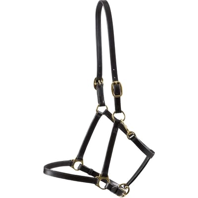 Leren halster voor paarden Premier Equine