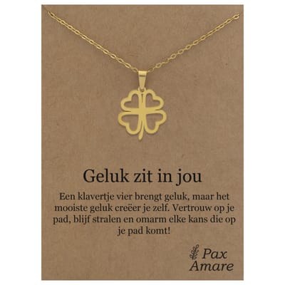 Stainless Steel Klavertje vier ketting op Cadeau Kaartje - Geluk zit in jou - 45cm Zilverkleurig Roestvrij Staal - Pax Amare