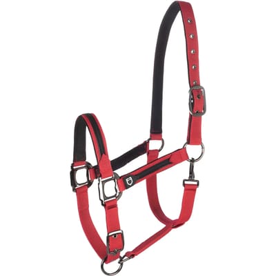 Nylon halster en longe voor paard in nylon Equestro
