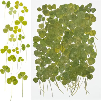 100 Stuks Natuurlijke Gedroogde Bloemen voor Hars, Scrapbooking en Epoxy Sieraden, Groen Gedroogd en Geperst