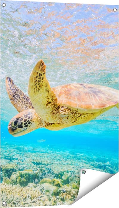 Gards Tuinposter Schildpad Zwemt in de Zee bij het Rif - 60x90 cm - Tuindoek - Tuindecoratie - Wanddecoratie buiten - Tuinschilderij
