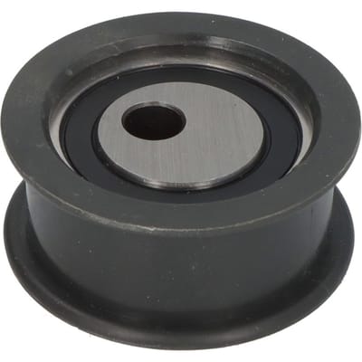 Schaeffler Ina Tandriempoelie INA 531 0671 20