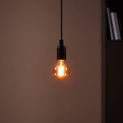 Eglo Ledfilamentlamp Globe 2 - Amber - D8cm - Warm Wit - E27 - 4w