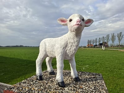 Realistisch Staand Lammetje – Decoratief Tuinbeeld – Polystone – 40 cm Hoog