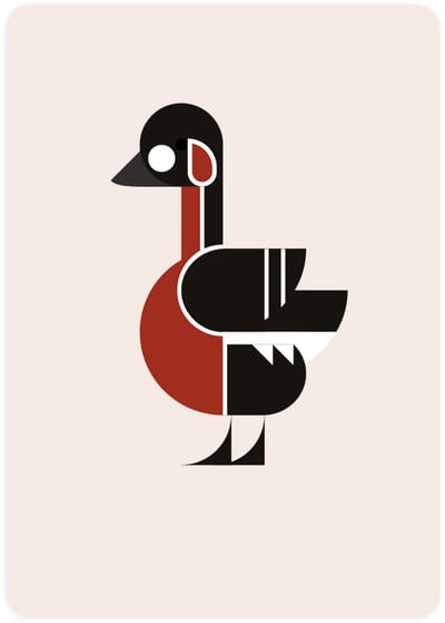 Eendje Wenskaarten - Set van 4 ansichtkaarten - Kaart met watervogel - Roodhalsgans