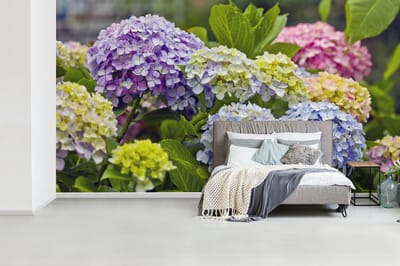 Behang - Fotobehang Verschillende hortensia bloemen - Breedte 430 cm x hoogte 240 cm