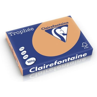 Clairefontaine Trophée Pastel | gekleurd papier | A3 | 160 g | 250 vel | mokkabruin