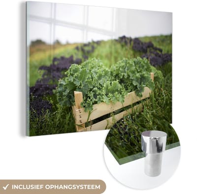 ® Glasschilderij 180x120 cm - Schilderij acrylglas - Een doos met vers geplukte boerenkool in het midden van een weiland - Foto op glas - Muurdecoratie woonkamer - Wanddecoratie slaapkamer - Schilderijen
