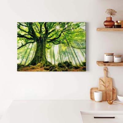 Canvas print DD123012 Kiciak A.S. Création 0,7 x 0,5 m Groen Kantoor Hal/Gang Keuken Slaapkamer Woonkamer