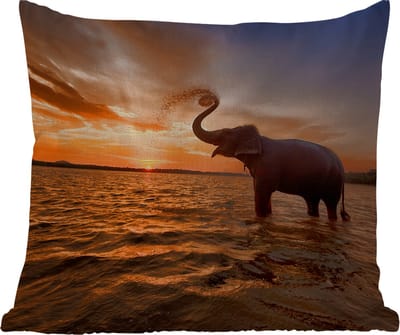 Tuinkussen - Olifant - Zee - Dieren - Zonsondergang - Oranje - 40x40 cm - Weerbestendig